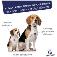 Pet-Phos CA / P = 2 ízesített csonterősítő tabletta kutyáknak #2