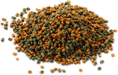 Tetra Cichlid Granules szemcsés sügértáp