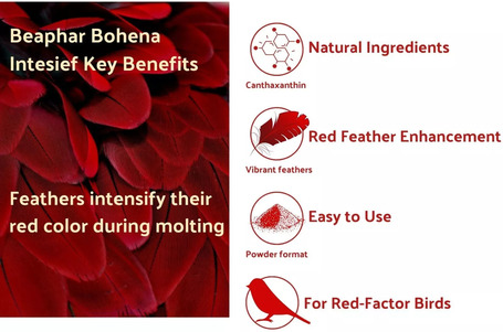 Beaphar Intensief Red