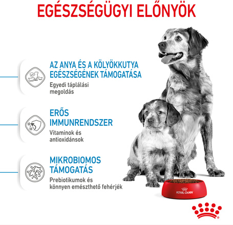 Royal Canin Medium Starter Mother & Babydog - Száraz táp közepes testű vemhes szuka és kölyök kutya részére 2 hónapos korig