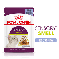 Royal Canin Sensory Smell Jelly - Zselés felnőtt macska nedves táp fokozott illattal