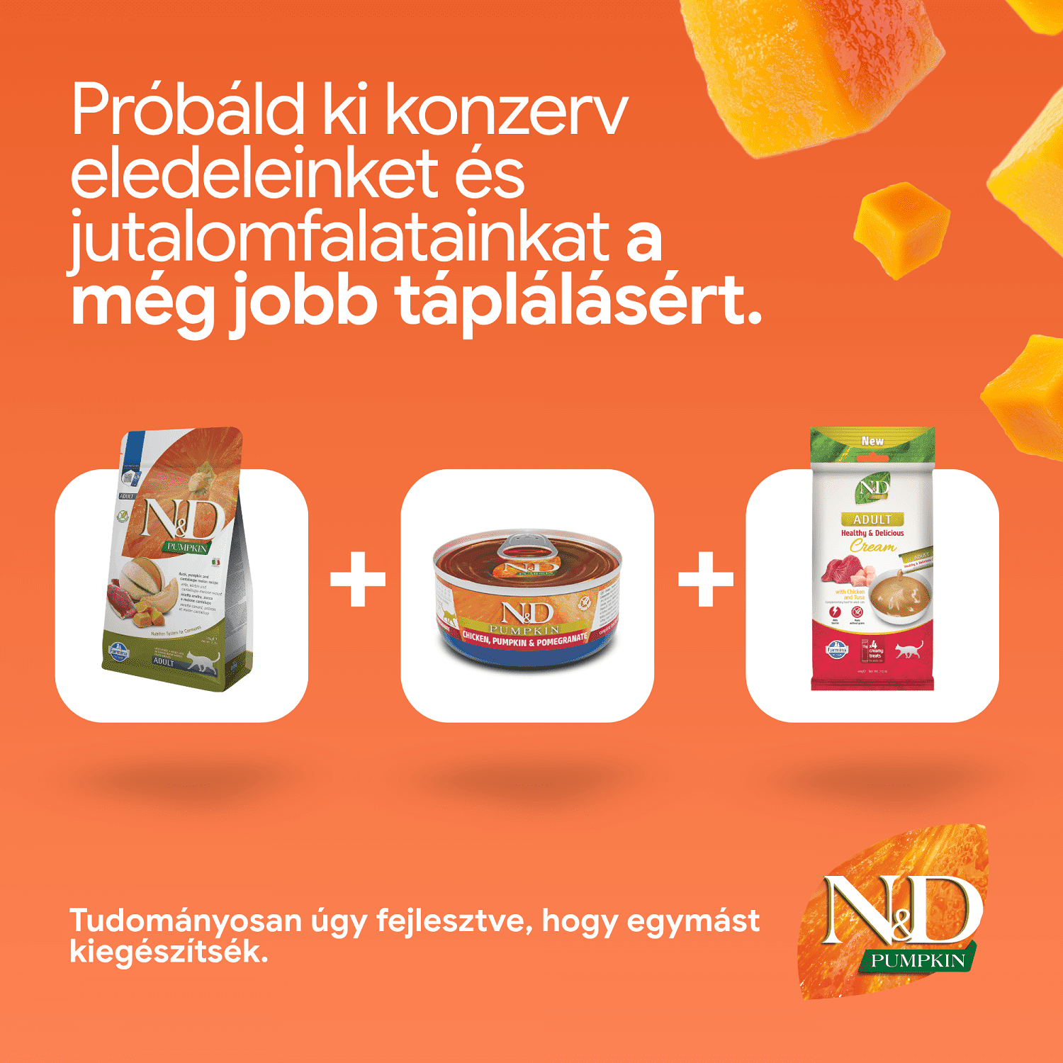 N&D Pumpkin Cat Grain Free kacsahússal, sütőtökkel és sárgadinnyével | Szuperprémium macskatáp