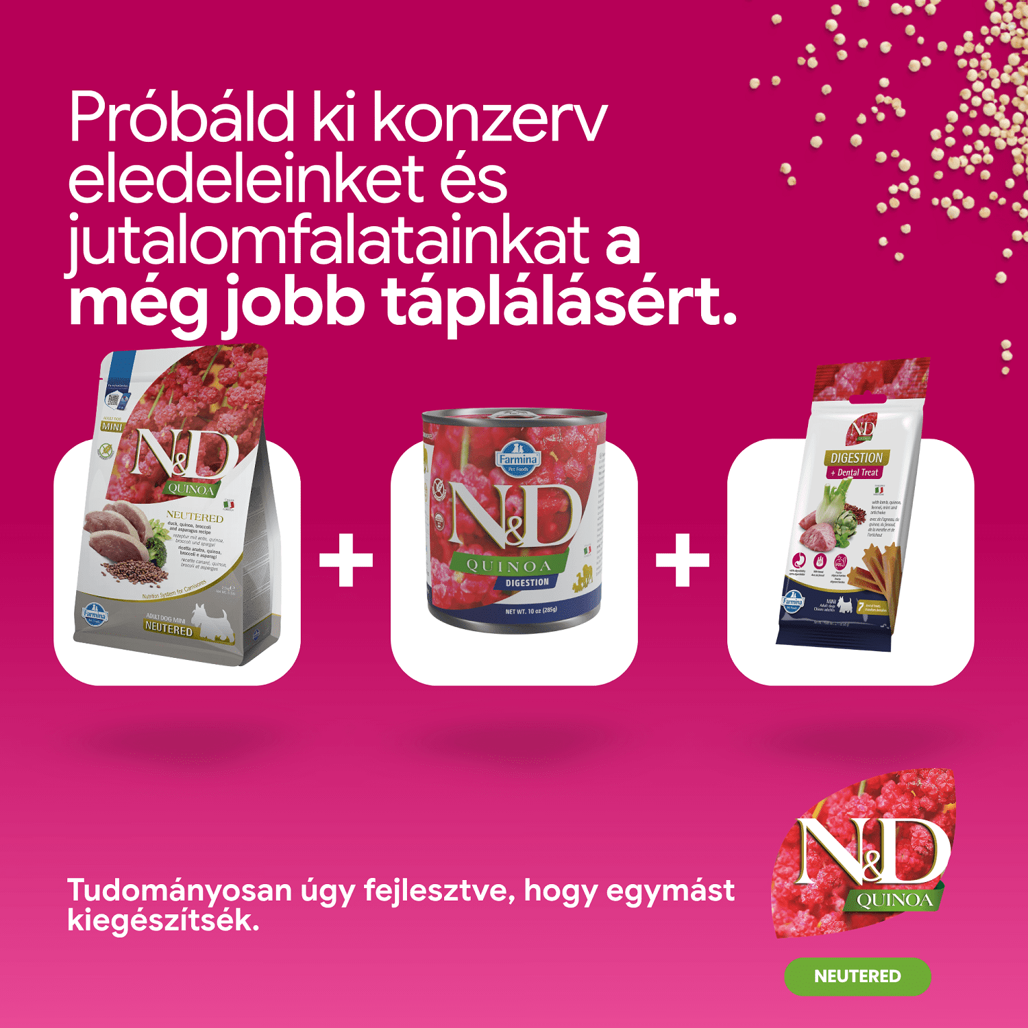 N&D Dog Quinoa Neutered Adult Mini kacsa, brokkoli és spárga
