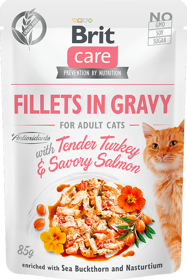 Brit Care Cat Curcan și Somon în sos 85 g