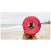 West Paw Seaflex Sailz - Károsanyag-mentes frizbi #9