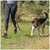 Trixie Dog Activity lesă de culoare roșie pentru câini de talie medie și mare cu curea de talie