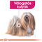Royal Canin Mini Exigent - Válogatós felnőtt kistestű kutya száraz táp