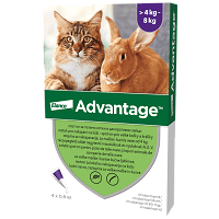 Advantage 80 spot on macskáknak és nyulaknak #1