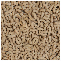 Sera Pond Color Sticks kerti tavi haltáp #2