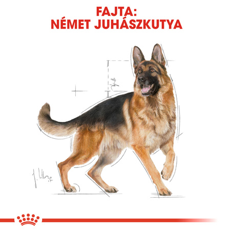 Royal Canin German Shepherd Adult - Német Juhász felnőtt kutya száraz táp