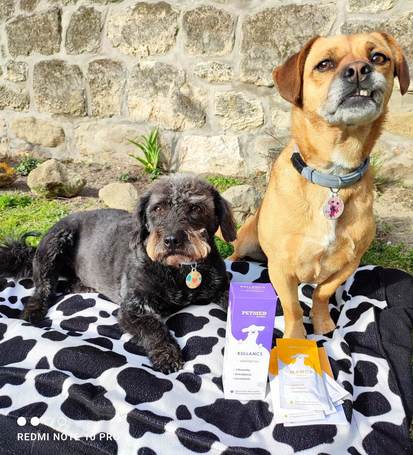 Dr. Kelen PetMed kullancs elleni védőspray kutyáknak és macskáknak