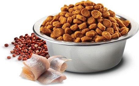 N&D Dog Grain Free Quinoa Skin & Coat Herring – Bőr- és szőrproblémákra | Szuperprémium kutyaeledel