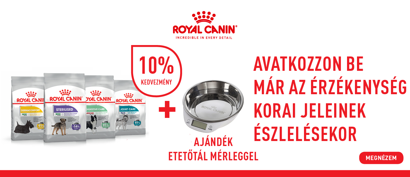 rc kutya tál