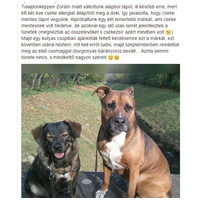 Dado Hypoallergenic Puppy Mini Fish & Rice | Hipoallergén halas táp kistestű kölyökkutyáknak #3