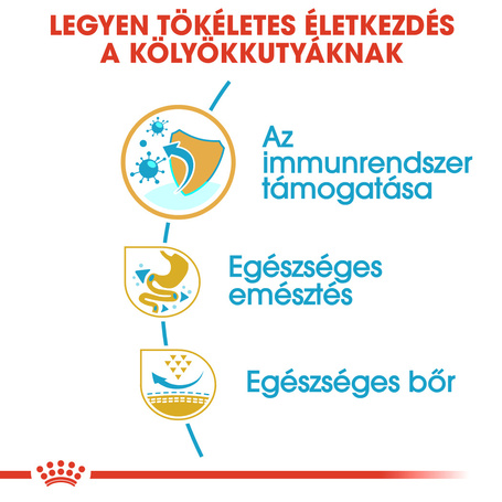 Royal Canin French Bulldog Junior - Francia Bulldog kölyök kutya száraz táp