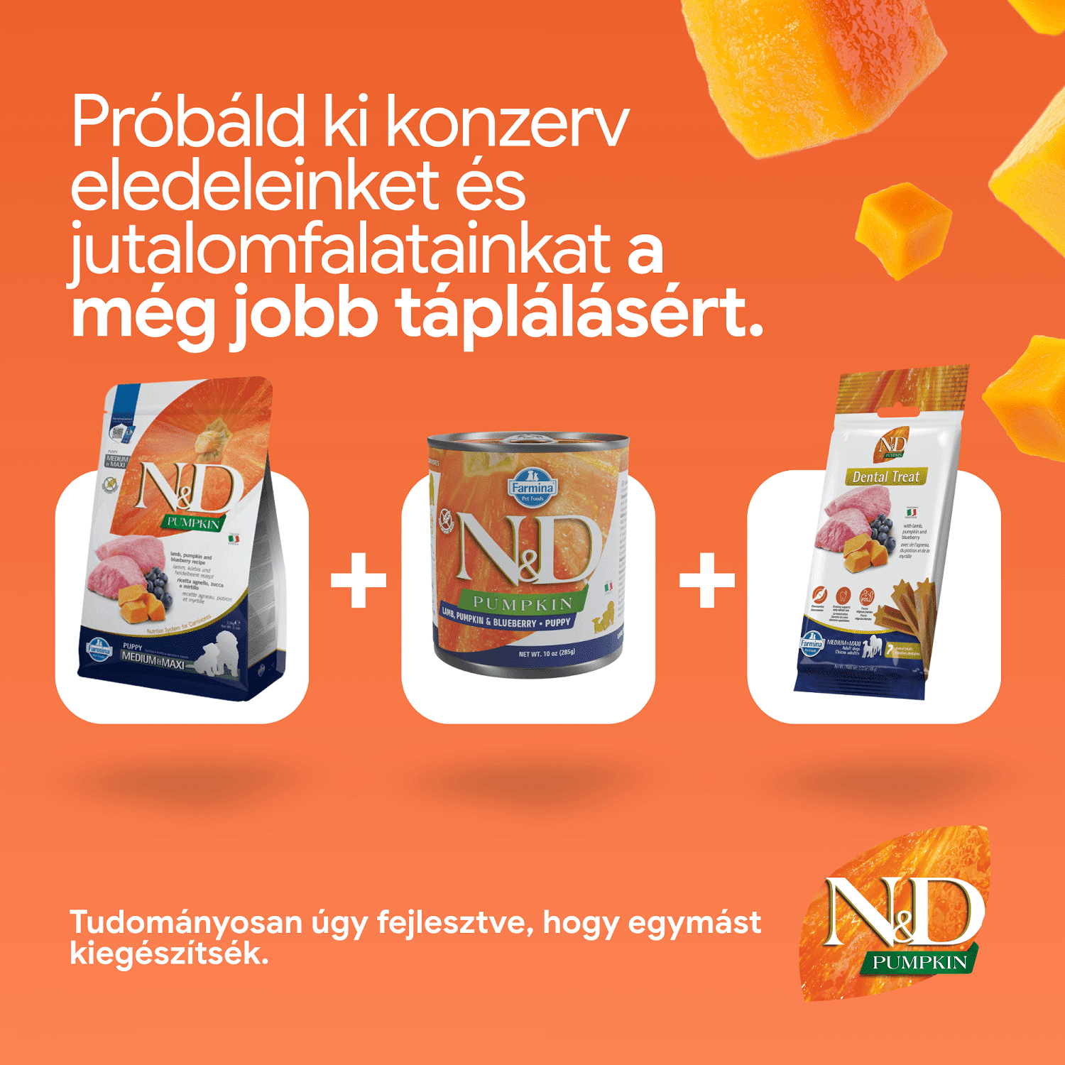N&D Dog Grain Free Puppy Medium/Maxi sütőtök, bárány & áfonya szuperprémium kutyatáp