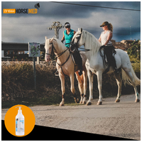 Horsemed ízületvédő gél lovaknak #2