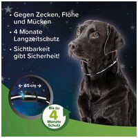 Beaphar gyógynövényes fényvisszaverő nyakörv kutyáknak #2