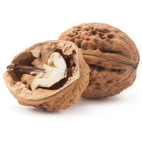 Biogance Dark Black Shampoo | Fekete szőrű kutyák fürdetéséhez #6