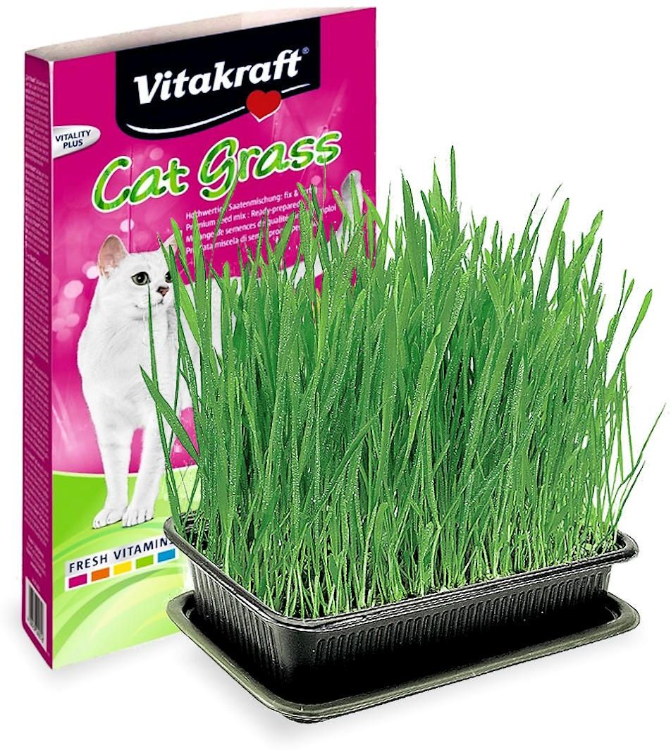 Vitakraft Cat Grass - zoom