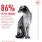 Royal Canin Fussy - válógatós macskák részére