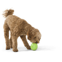 West Paw Rumbl - Jutalomfalattal tölthető labda #11