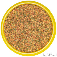 JBL ProNovo Bel Grano süllyedő akváriumi haleledel #2