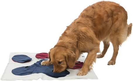 Trixie Sniffing Blanket - Szimat szőnyeg kutyáknak és macskáknak