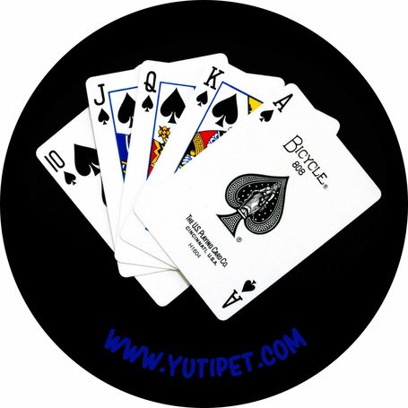 Grafikus címkék M-XXL méretű Yutipet hámokhoz