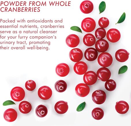 Dermoscent Uti-Zen kutyáknak és macskáknak