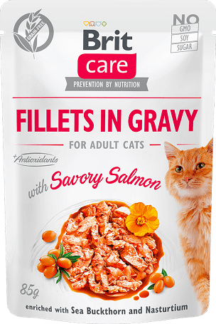 Brit Care Cat Fillets in Gravy with Savory Salmon