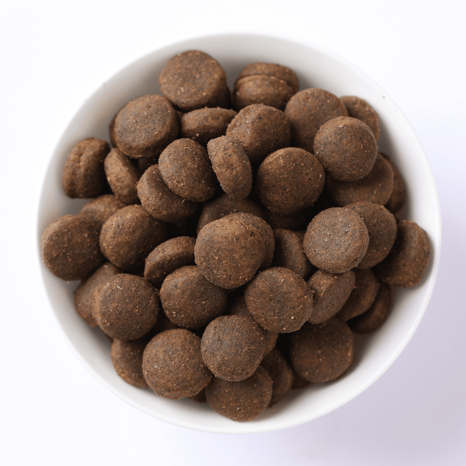 N&D Dog Grain Free Quinoa Skin & Coat Herring – Bőr- és szőrproblémákra | Szuperprémium kutyaeledel
