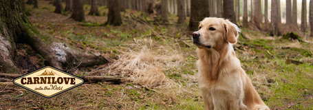 CarniLove Puppy Large Salmon & Turkey száraztáp nagytestű kölyökkutyáknak