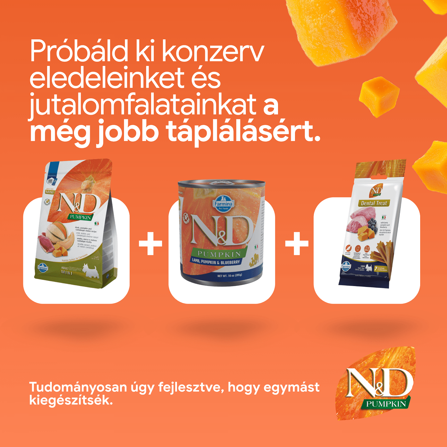 N&D Dog Grain Free Adult Mini sütőtök, kacsa & sárgadinnye kistestű felnőtt kutyáknak | Gabonamentes kutyatáp