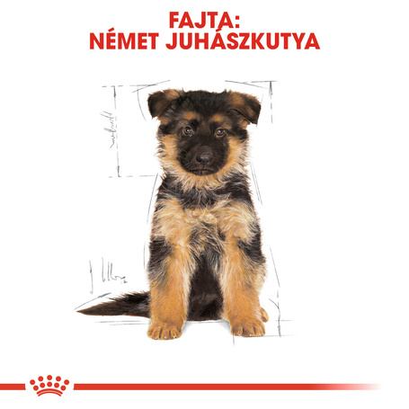 Royal Canin German Shepherd Junior - Német Juhász kölyök kutya száraz táp