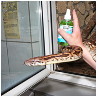 JBL Pro Clean Terra bio üvegtisztító folyadék terráriumhoz #4