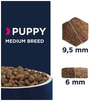 Eukanuba Puppy Medium | Táp közepes testméretű kölyökkutyáknak | Szuperprémium szárazeledel #9