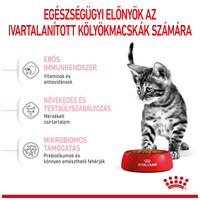 Royal Canin Kitten Sterilised - Ivartalanított kölyök macska száraz táp 12 hónapos korig #3