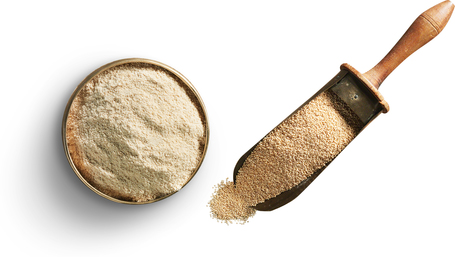 Belcando Mastercraft Fresh Salmon | 80% friss lazacból készült szuperprémium német kutyatáp