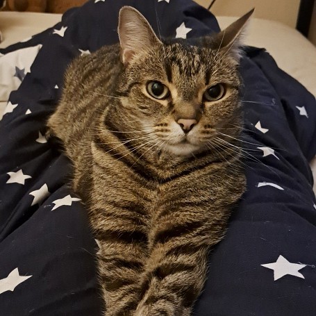 Monty