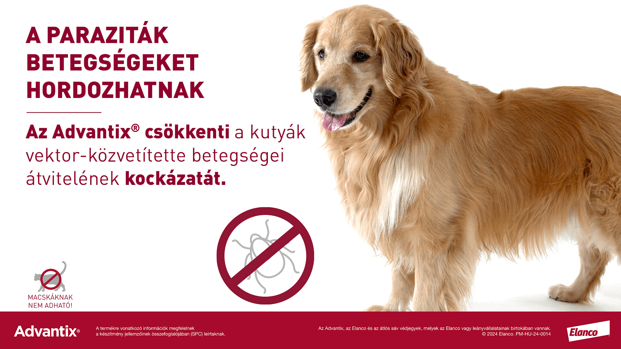 Advantix Spot On kutyáknak