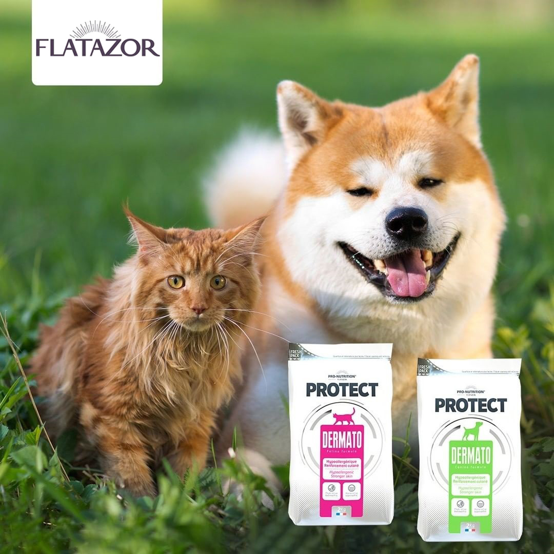 Flatazor Protect Dermato - zoom