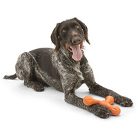 West Paw Skamp - Apport kutyajáték #8