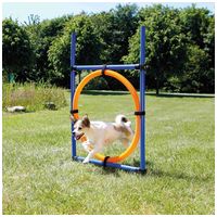 Trixie Dog Activity agility gyűrű #2