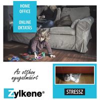 Zylkéne nyugtató kapszula közepes és nagytestű kutyáknak #5