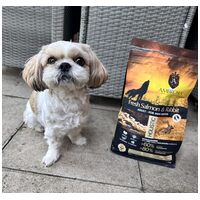 Ambrosia Dog Adult Mini GF Fresh Salmon & Rabbit | Gabonamentes táp kistestű kutyáknak friss lazaccal és nyúlhússal #13