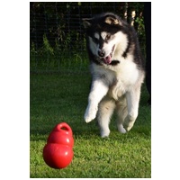 Kong Bounzer kutyajáték #2