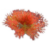 Happet akváriumi műnövény vörös levelekkel (1F19)