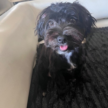Pixel
