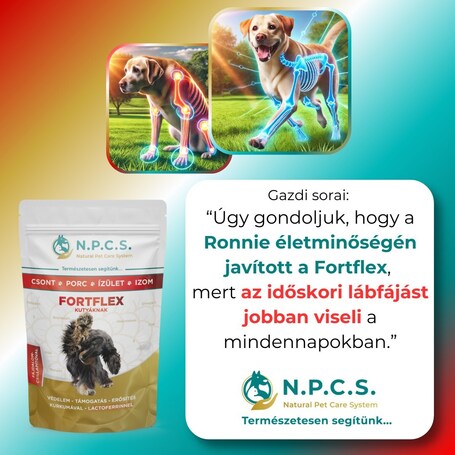 N.P.C.S. FortFlex - Csont, Porc, Ízület, Izom por kutyáknak